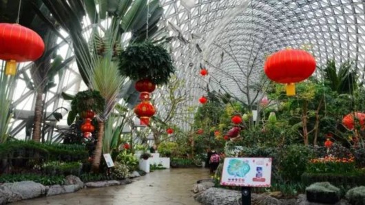 【旅游小文字】“海盗船”亮相上海辰山植物园