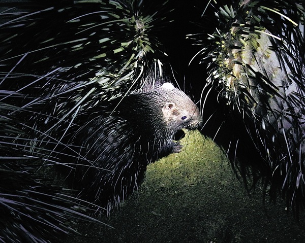 圖片默認標題 圖片默認標題