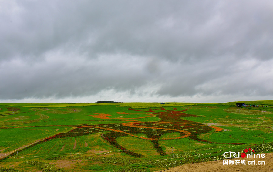 图片默认标题_fororder_4