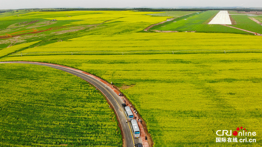 图片默认标题_fororder_7