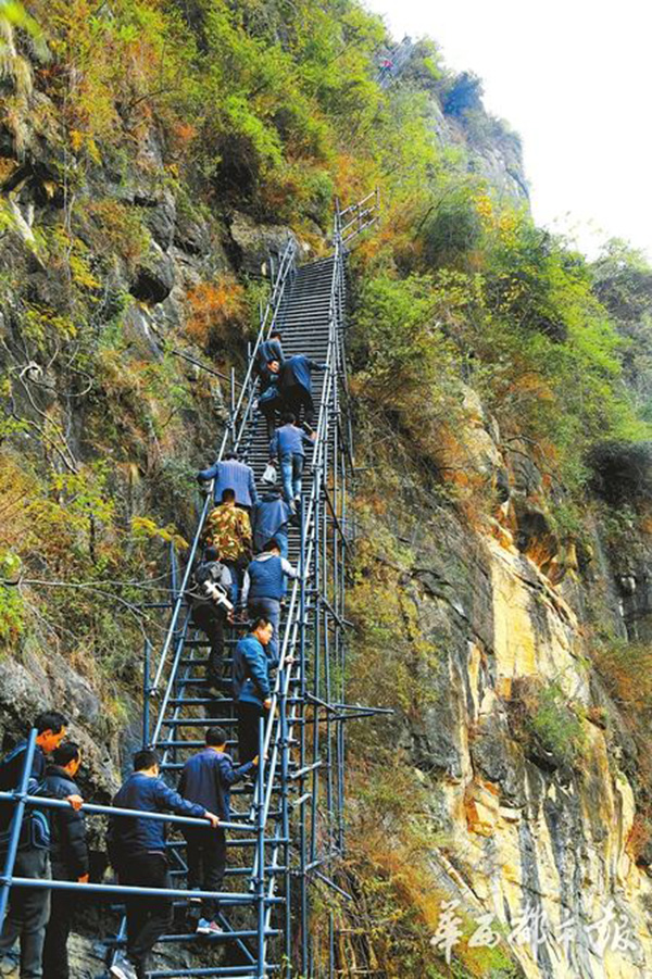 四川凉山悬崖村藤梯变钢梯,险道将成旅游风景