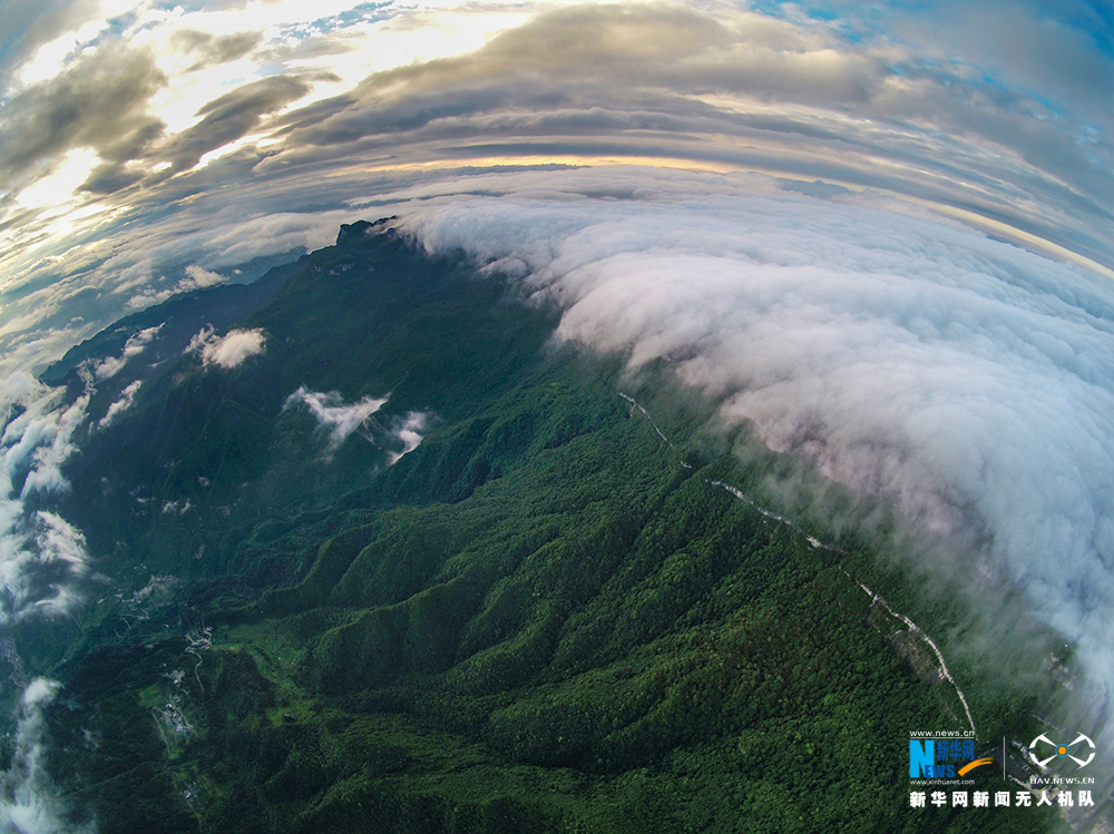 【渝情渝景】航拍夏日初晴時刻的金佛山