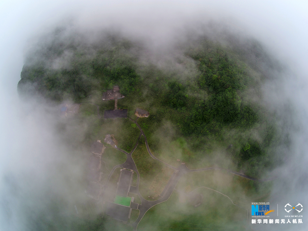 【渝情渝景】航拍夏日初晴時刻的金佛山