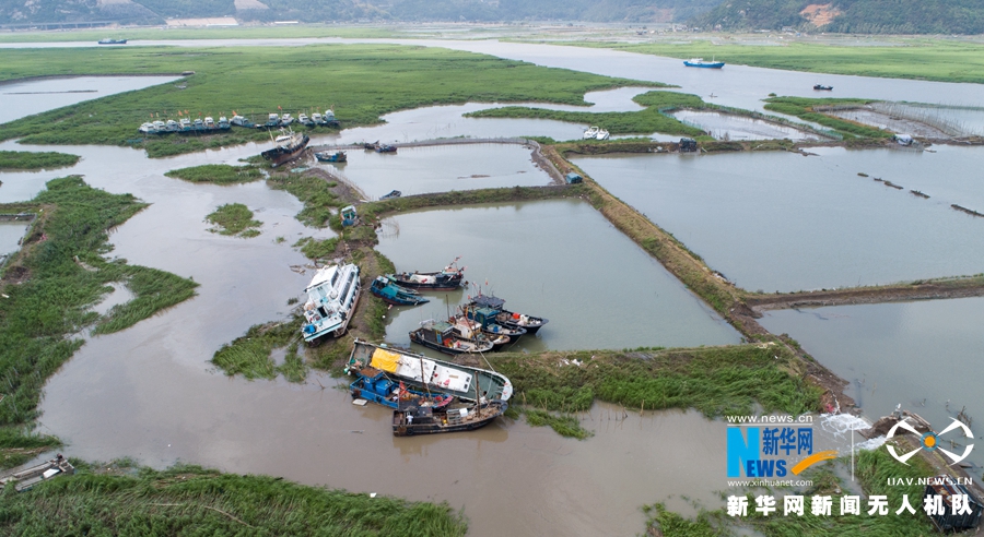 直击闽东灾区牙城镇：海上养殖场受重创 渔民忙重建