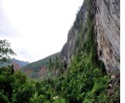 圖片默認標題 圖片默認標題