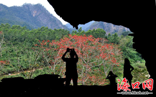 【瓊島先鋒】昌江有個皇帝洞 你可有見過? 【瓊島先鋒】昌江有個皇帝洞 你可有見過?