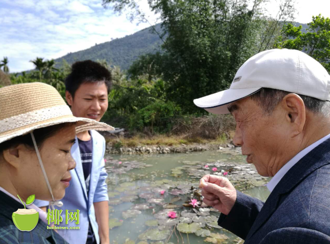 【視覺海南】【中下圖1】世界睡蓮育種專家三亞確認發現原生延藥睡蓮 【視覺海南】【中下圖1】世界睡蓮育種專家三亞確認發現原生延藥睡蓮