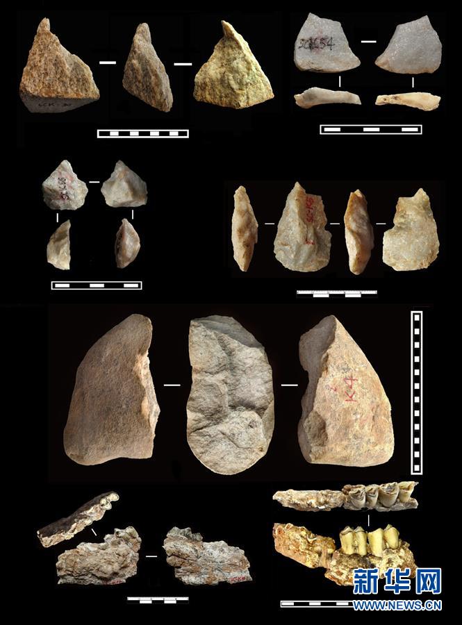 出土于上陈旧石器遗址的距今约212万年的部分旧石器和动物化石