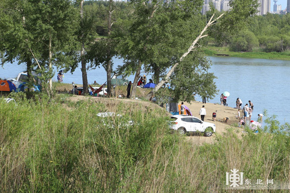 哈爾濱大劇院周邊濕地: 一天清出17袋垃圾 哈爾濱大劇院周邊濕地: 一天清出17袋垃圾