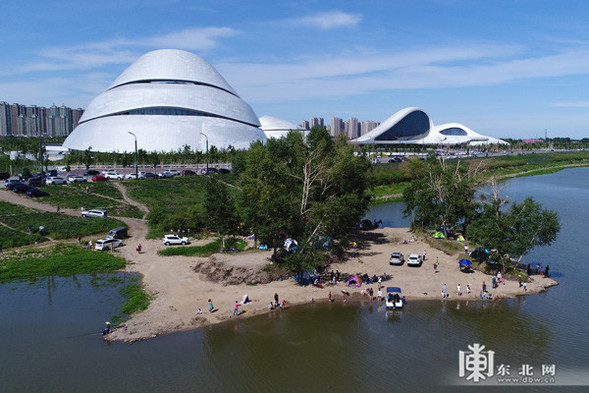 哈爾濱大劇院周邊濕地: 一天清出17袋垃圾 哈爾濱大劇院周邊濕地: 一天清出17袋垃圾