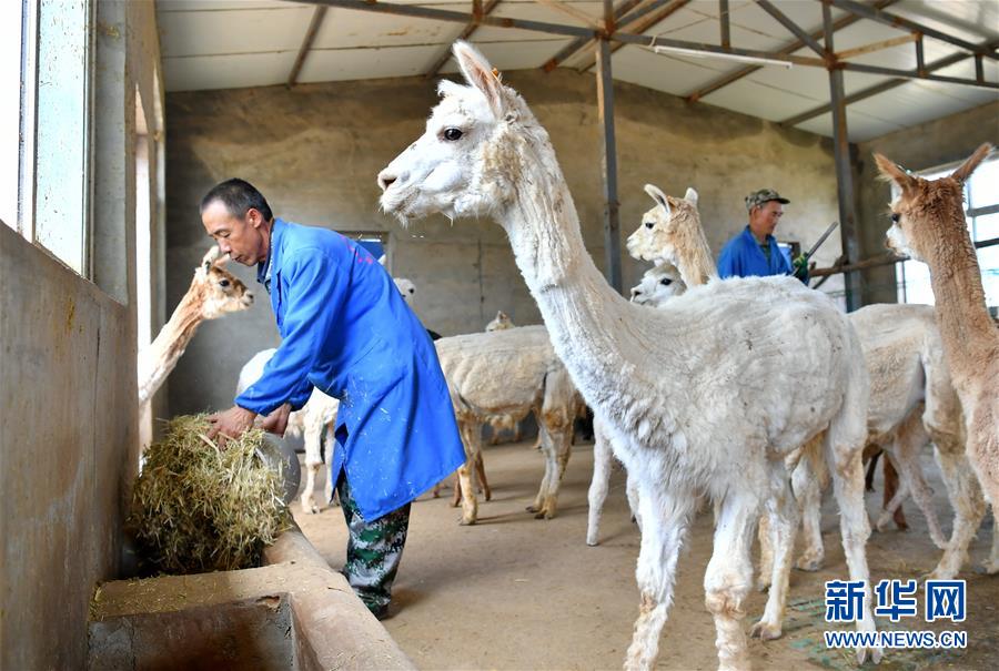 圖片默認標題_fororder_2