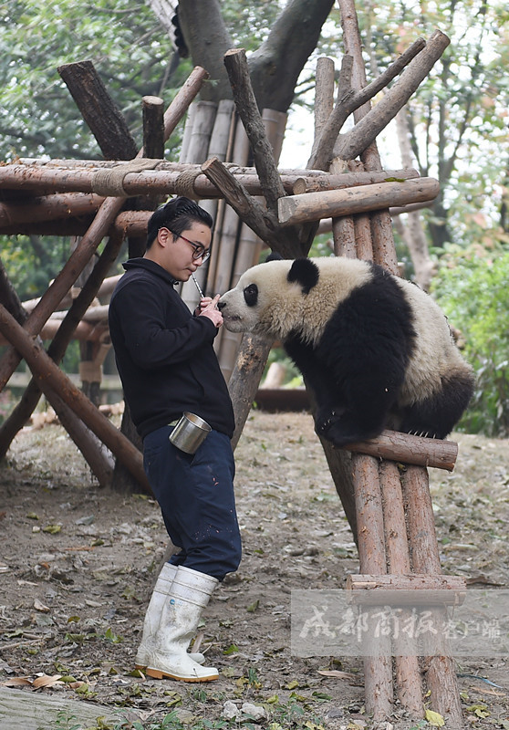 图片默认标题