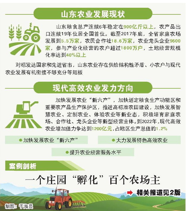 山東新舊動能轉換“十強”産業解析：讓傳統農業變身強農富民産業