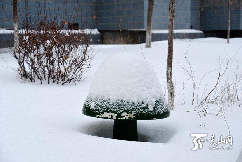 19小時大雪襲城 烏魯木齊開啟“刨”車模式(組圖)