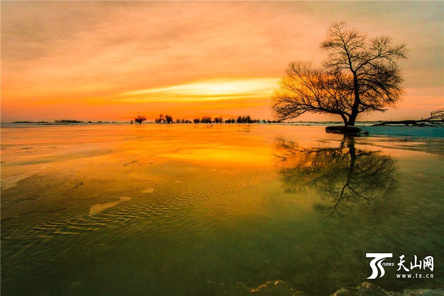 晚霞中的新疆额敏河美如仙境(组图)