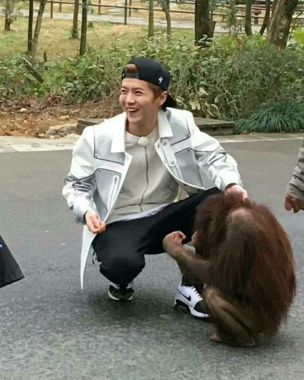 图为鹿晗在杭州录《奔跑吧》,网友吐槽:傻狍子牵起大猩猩的手那一刻的