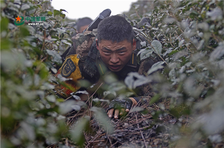 “魔鬼周”来袭！看特战队员三峡库区开展极限训练