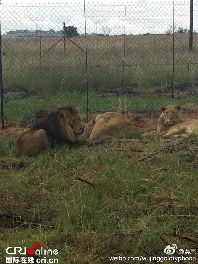 吴京再访非洲 《战狼2》开启第二阶段拍摄