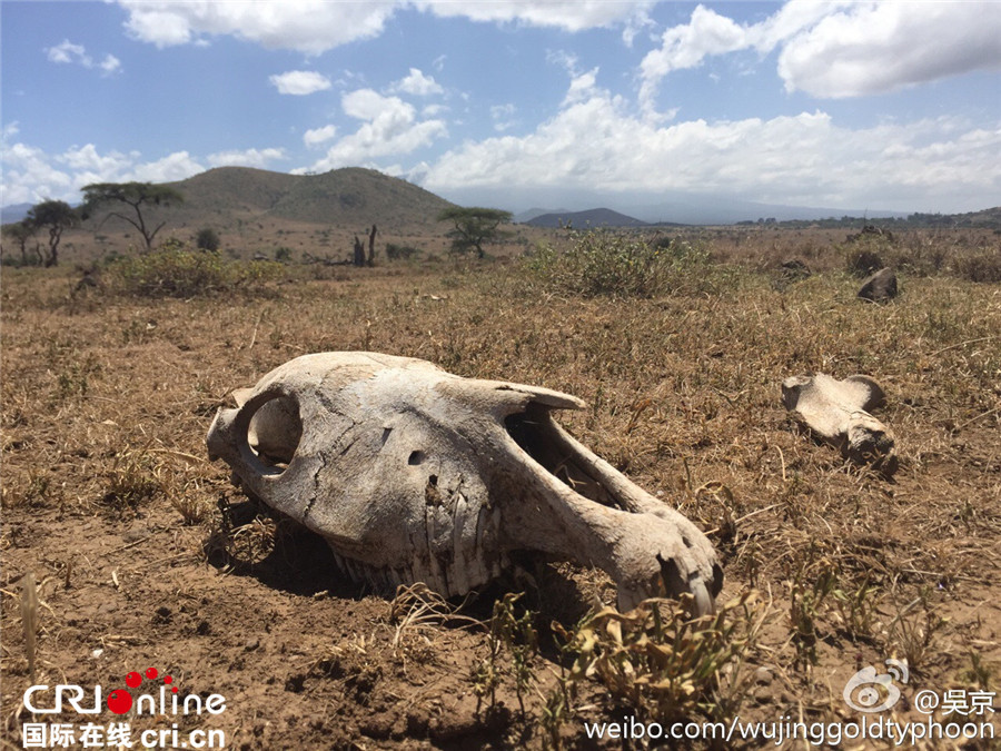 吴京再访非洲 《战狼2》开启第二阶段拍摄