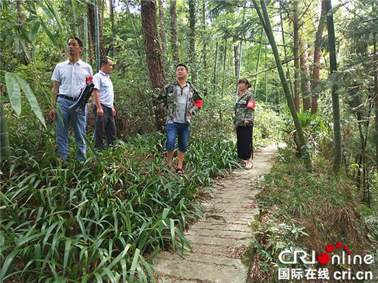 【區縣聯動】【萬盛】重慶萬盛青年鎮：加大森林防火力度 守好一片綠【區縣聯動 列表】重慶萬盛青年鎮：加大森林防火力度