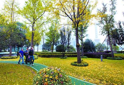 【首页头条1】申城全力打造15分钟体育生活圈 滨江辟健身步道