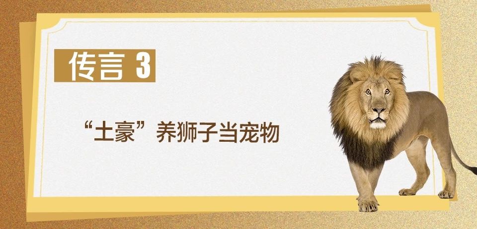 滿街豪車，全民“土豪”……阿聯酋真的是這樣嗎？