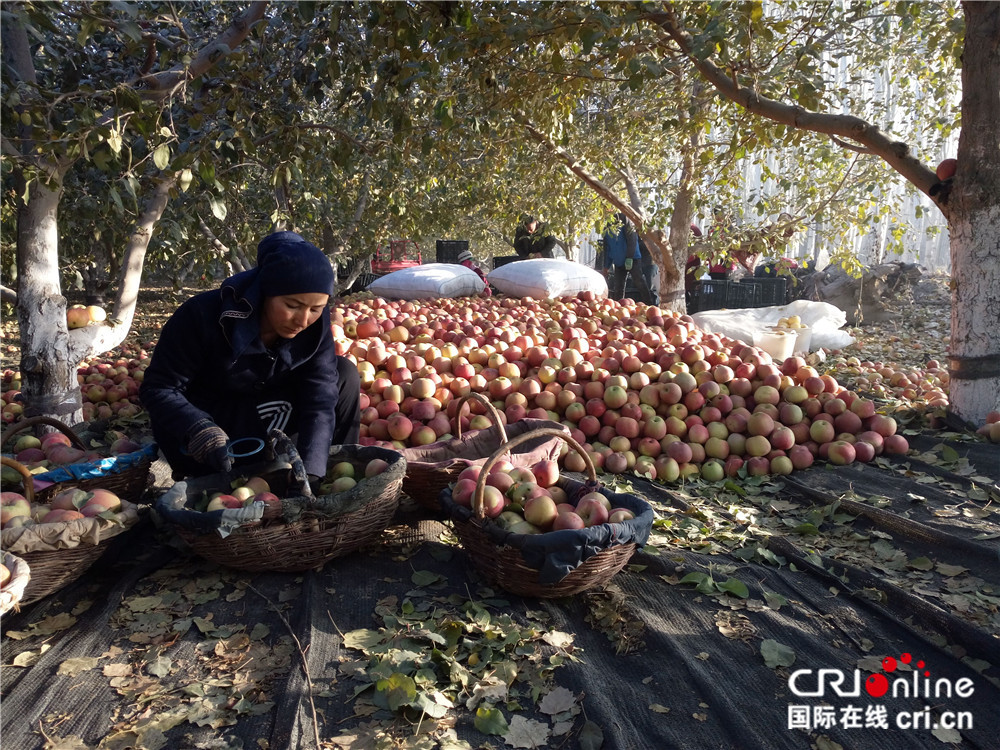 圖片默認標題_fororder_扶貧9