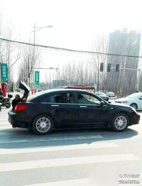 郑州男子让老母亲坐汽车后备箱被曝光