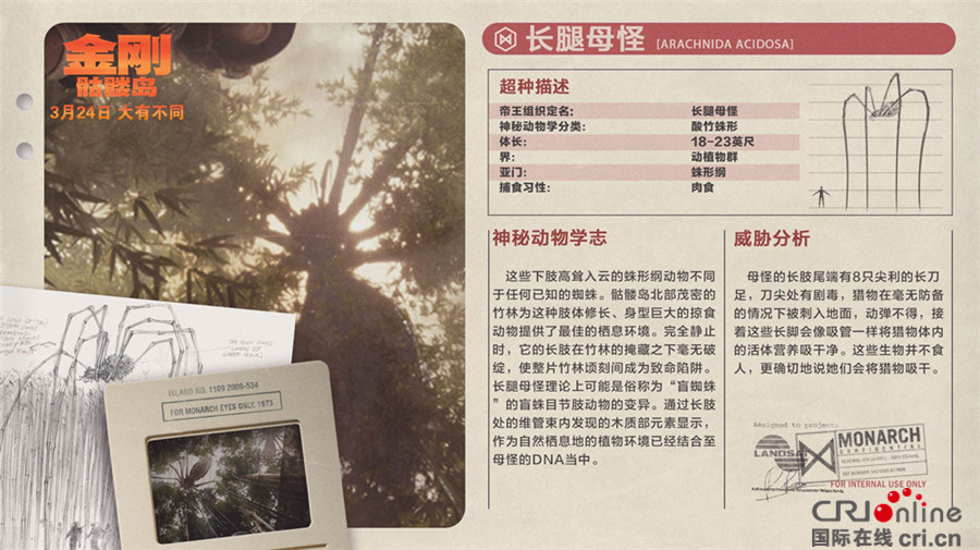 《金刚:骷髅岛》预告海报双发 群兽乱战全面升级