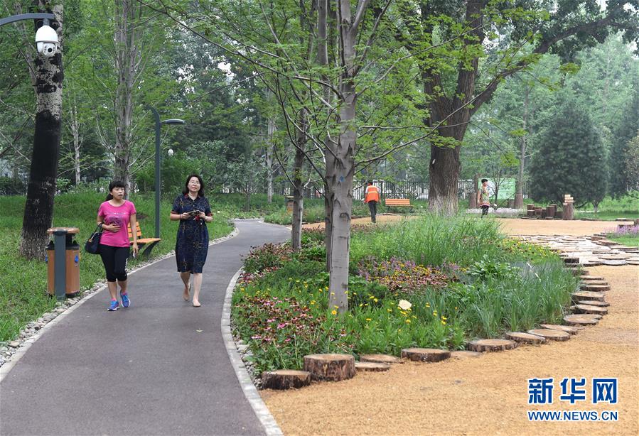 北京東城區第一處城市森林公園建成開放