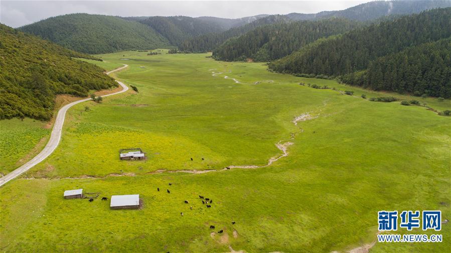 “綠水青山是我們共同的飯碗”——雲南迪慶藏區普達措國家公園村民的“生態轉身”