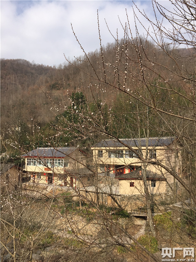 大山深处春光旖旎 康县乡村“风景这边更好”