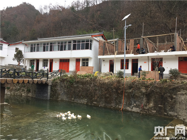 大山深处春光旖旎 康县乡村“风景这边更好”