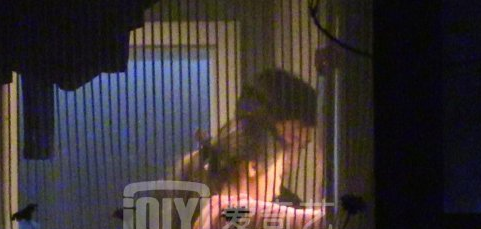 欧豪马思纯王菲谢霆锋 盘点同房过夜遭偷拍的明星