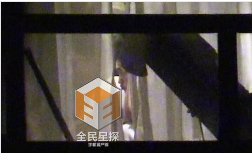 欧豪马思纯王菲谢霆锋 盘点同房过夜遭偷拍的明星