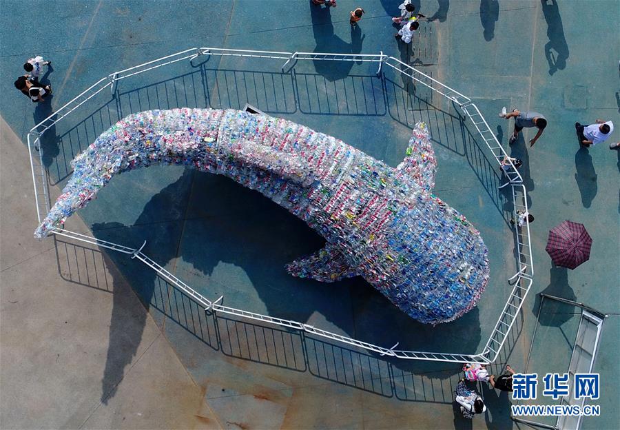 山東日照：廢舊塑膠瓶變“鯨鯊”