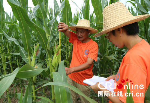 【河南在线-文字列表】【移动端-文字列表】河南宝丰气象部门冒酷暑高温 深入田间为农服务