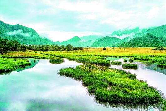 绿资源增色“凉经济”提质 神农架编织全域旅游产业链