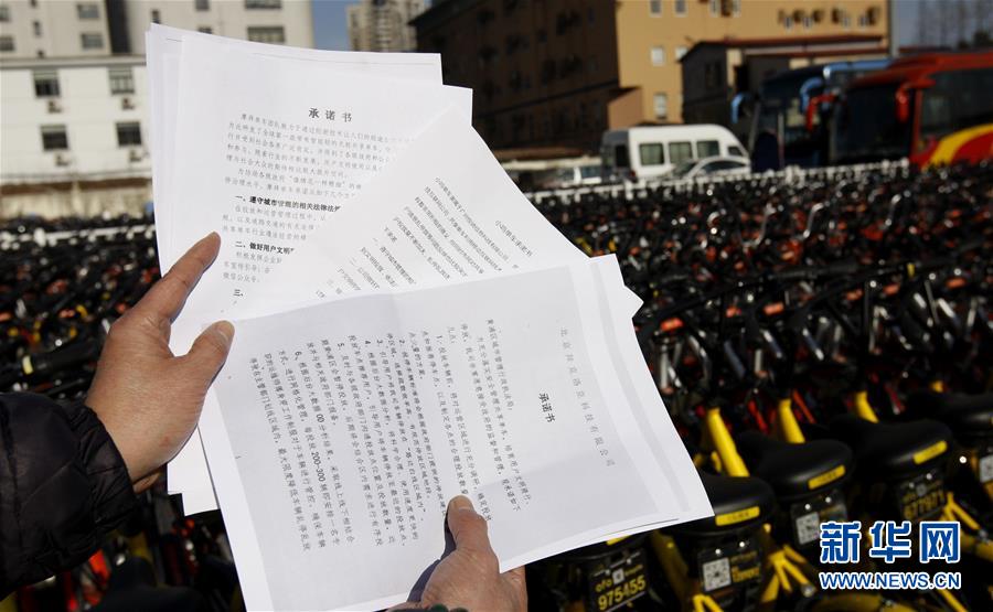 【焦点图】上海：发还4000余辆被扣共享单车