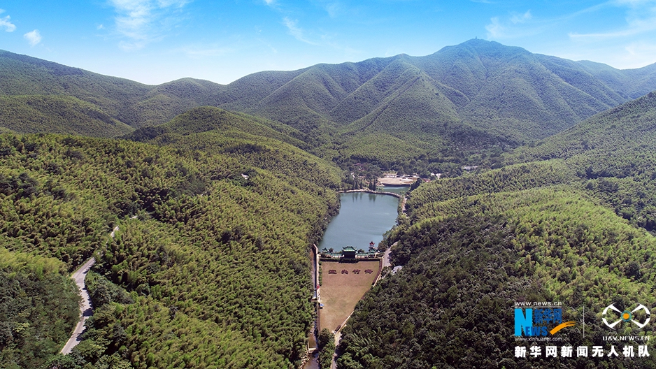 航拍宜兴竹海：夏日当空 绿影铺地