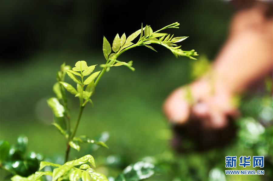 圖片默認標題 圖片默認標題_fororder_1123177354_15325611227931n