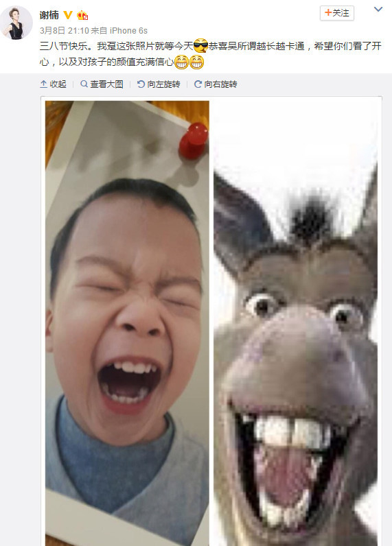 谢楠专注"坑娃"一百年 吴所谓可能找了个假妈