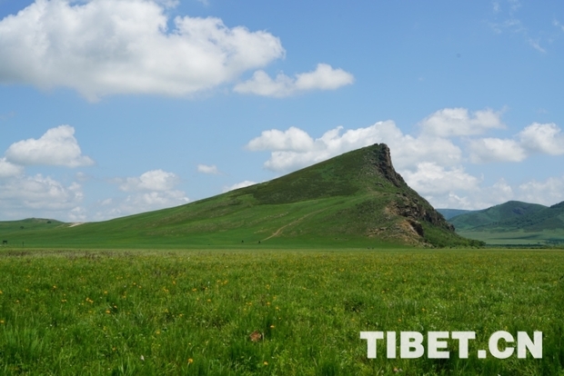 【新時代•幸福美麗新邊疆】盛夏草原之旅，豈不美哉？ 來自最美鄉村的邀請函：領略自然風光，感受草原文化