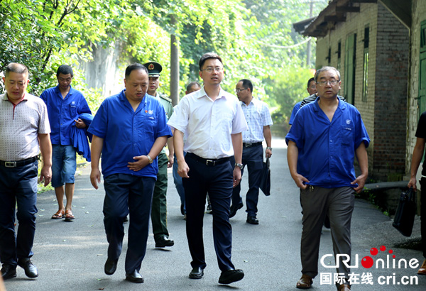 宜賓市南溪區委副書記,區長何永宏率隊進行安全環保督察