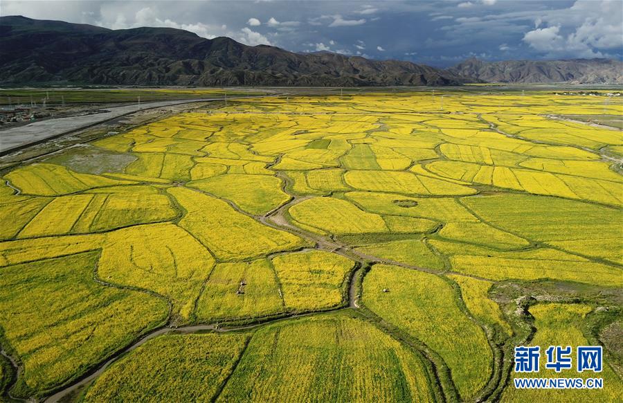 西藏：無限風光在高原