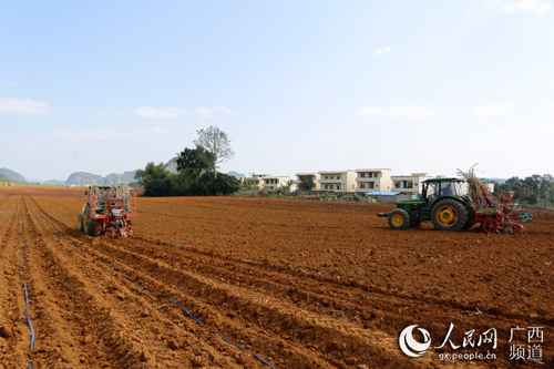 广西江州：甘蔗“吃干榨尽”走出循环经济发展路子