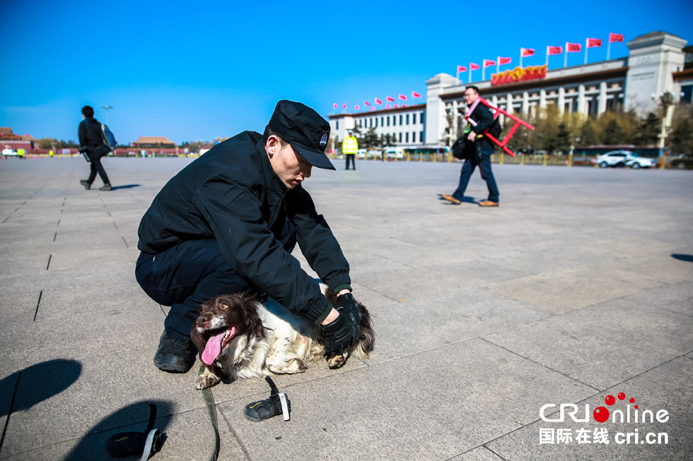 图片默认标题