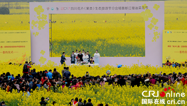 荆州江陵油菜花节图片