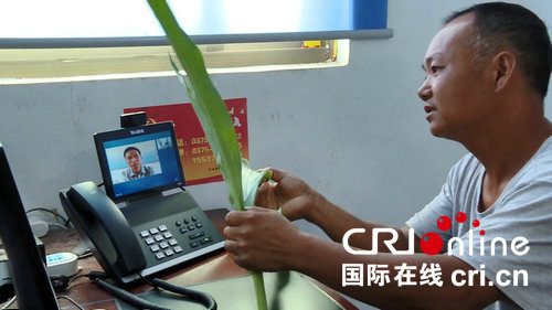 【科教-文字列表(頁面標題:平頂山市:村民熱衷利用“遠程”為作物“尋醫問診”)】【移動端-文字列表】平頂山市舞鋼:村民熱衷利用“遠程”為作物“尋醫問診”