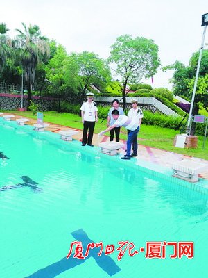 【要聞】【移動版 新聞列表】【滾動新聞】 廈門集美完成泳池抽檢工作 30家游泳場中有27家合格